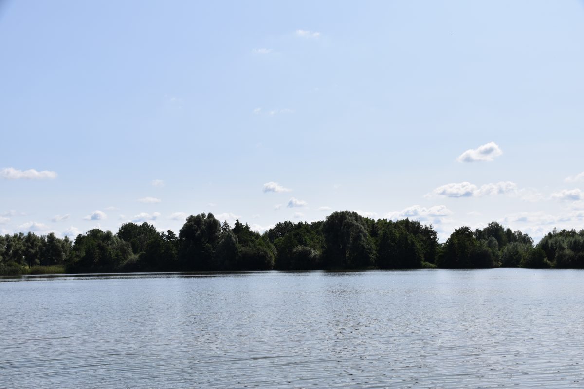 Kleine rietplas, Meren